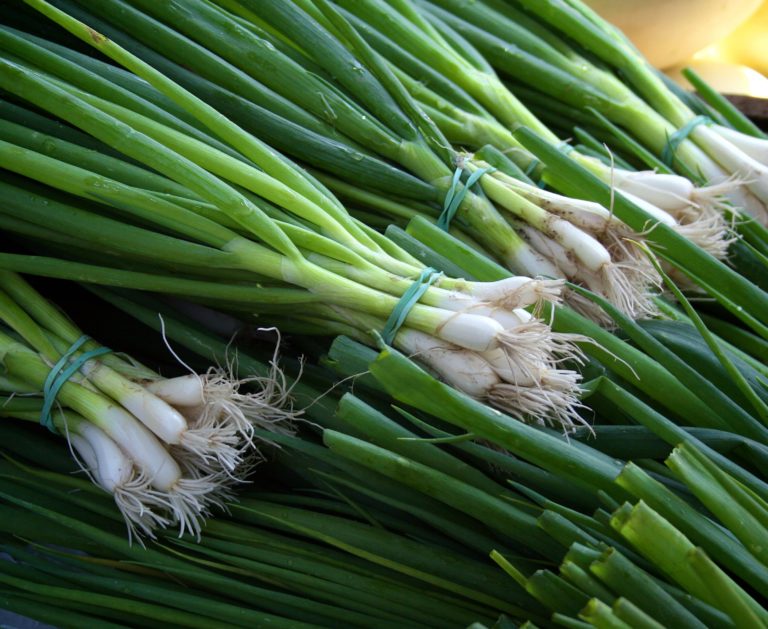 Green Onions nannie plants