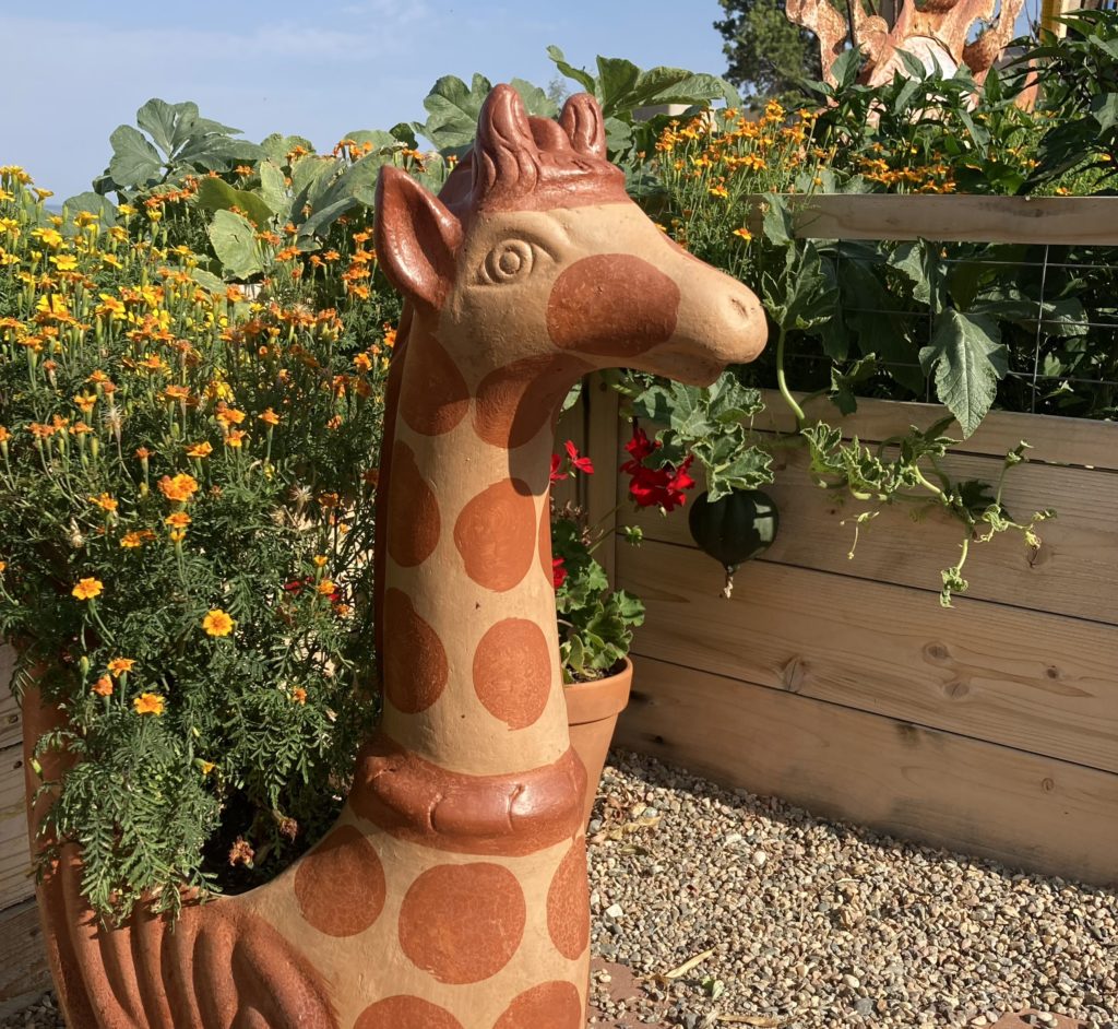 21.8.12_patty's_giraffe_and_sun_in_garden_0442_copy