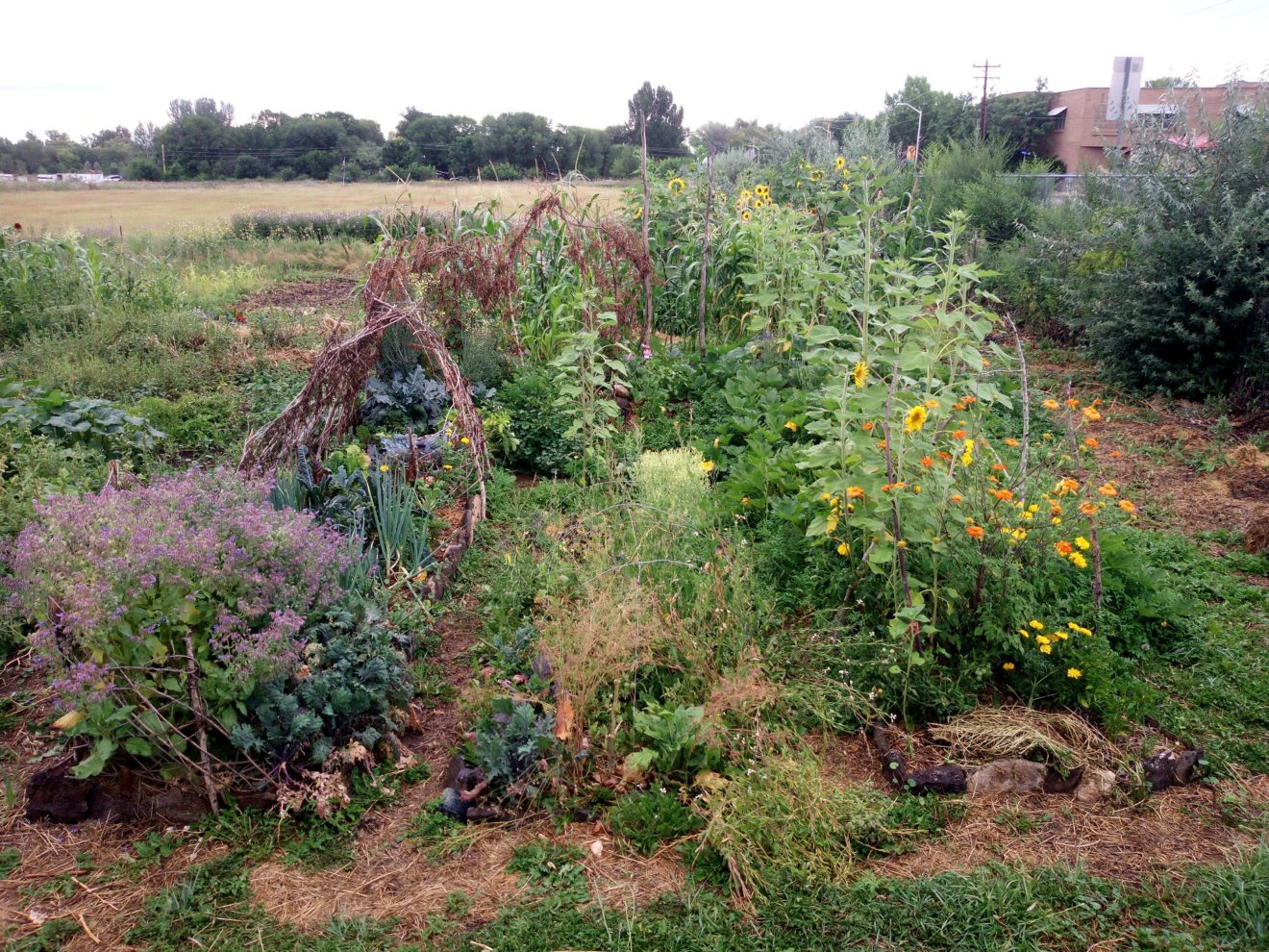 22 evan's garden at nfo_1
